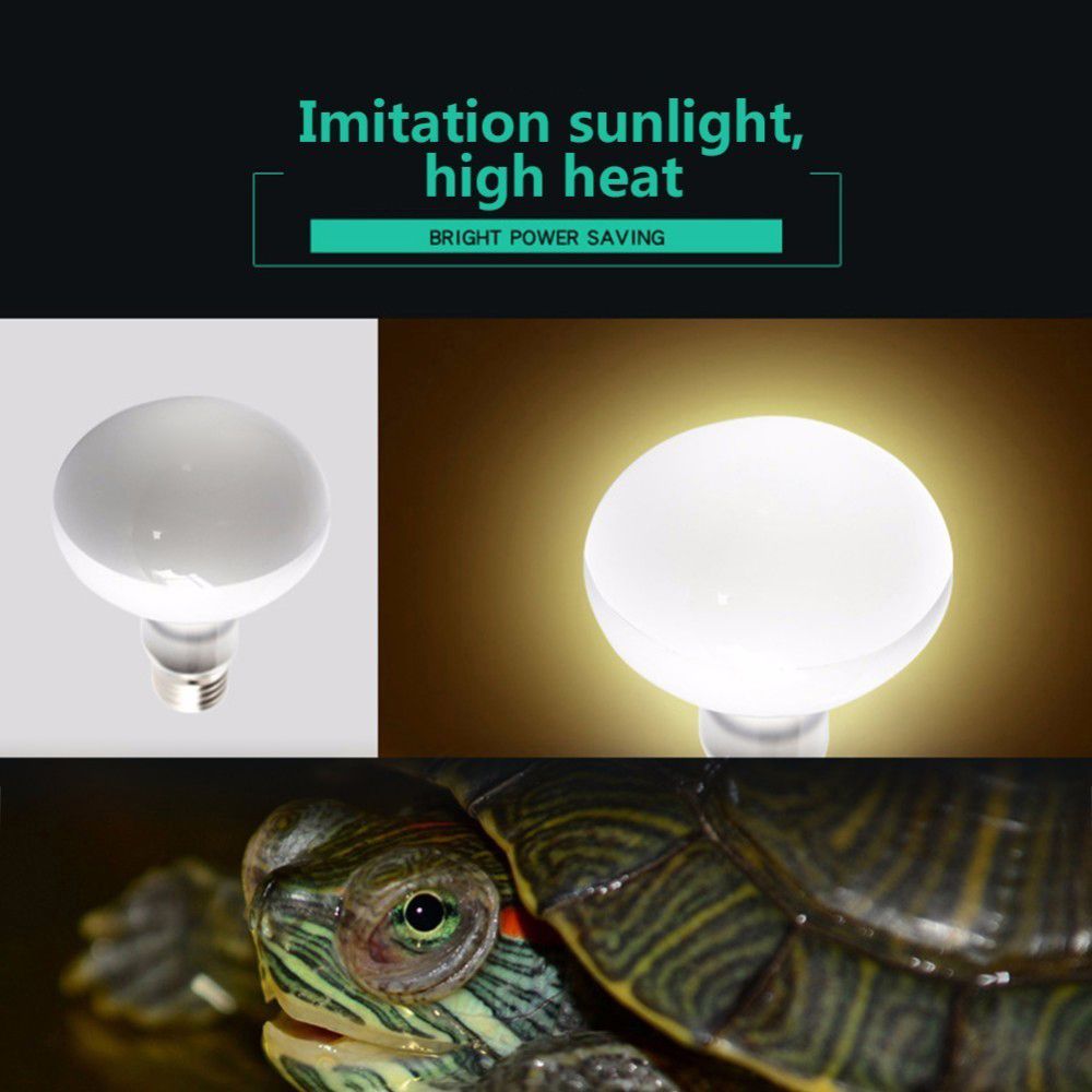 Basking Bulb Halogen - جهاز تحكم في درجة حرارة السلاحف