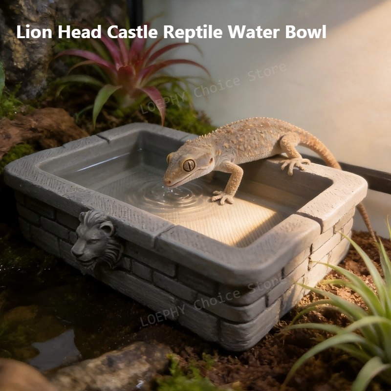 Water Dish Reptile - وعاء ماء للزواحف على شكل رأس