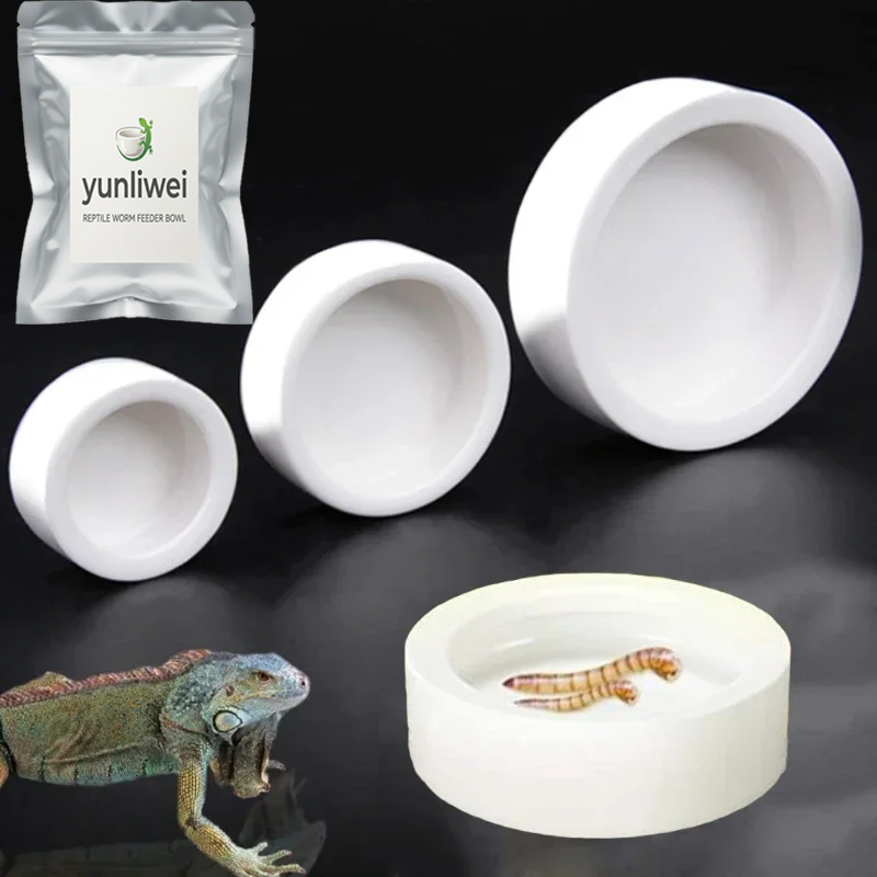 Water Dish Reptile - وعاء طعام للزواحف مانع للهروب، طبق