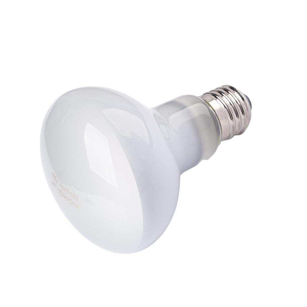 Basking Bulb Halogen - مصباح تدفئة للسلاحف، مصباح تدفئة للزواحف،