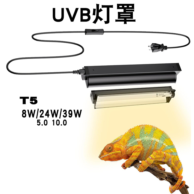 Calcium Powder Reptile - مصباح T5 UVB مع حامل مدمج