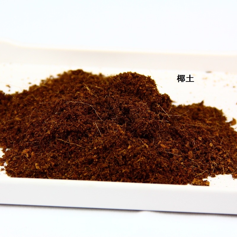 طوب تربة جوز الهند كركيزة للزو - مراجعة Substrate Coconut Fiber وسعره