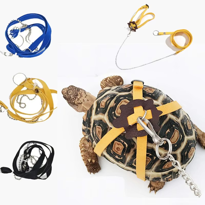 حزام جر للسلاحف، حبل تحكم، حزا - مراجعة Water Dish Reptile وسعره