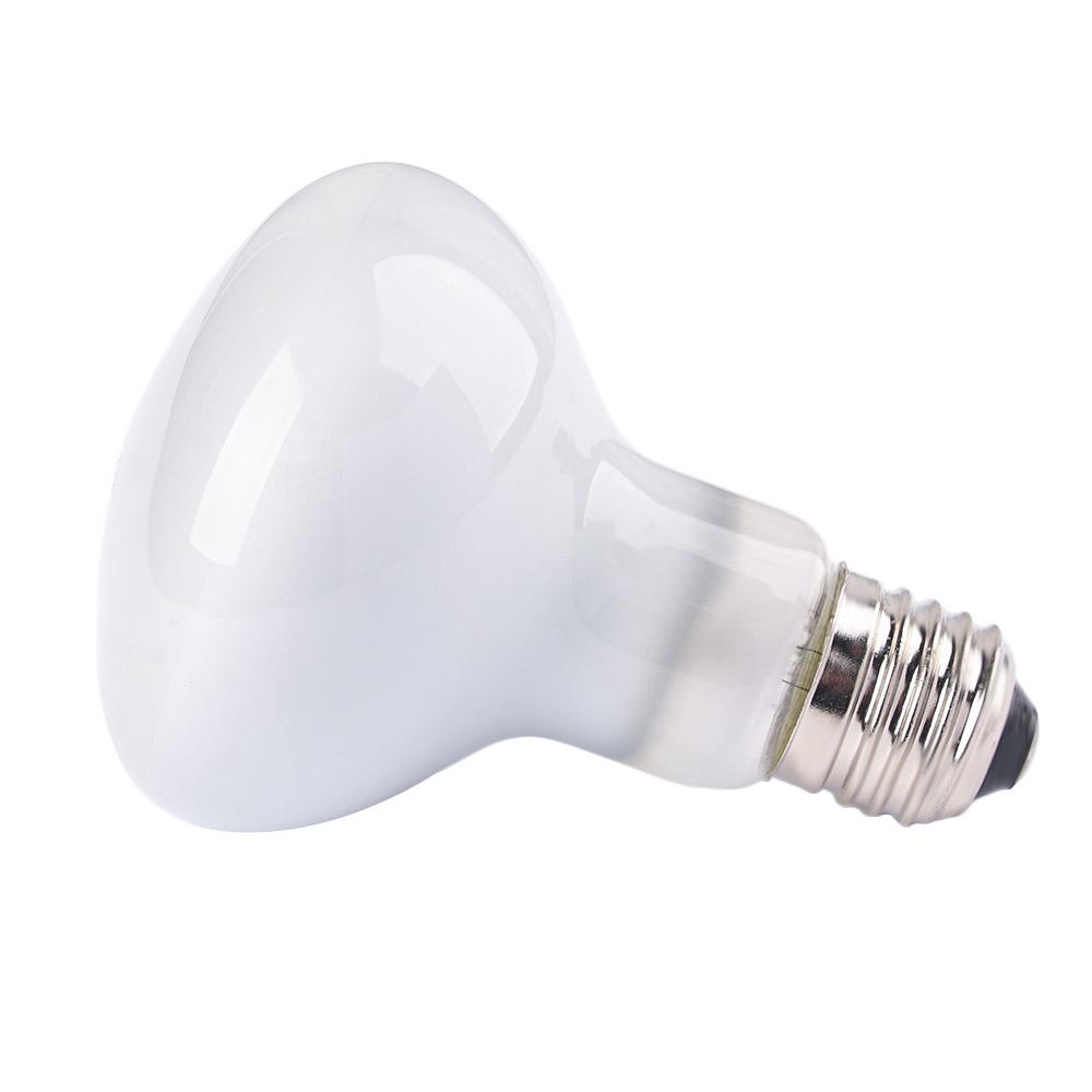 جهاز التحكم في درجة الحرارة لل - مراجعة Basking Bulb Halogen وسعره