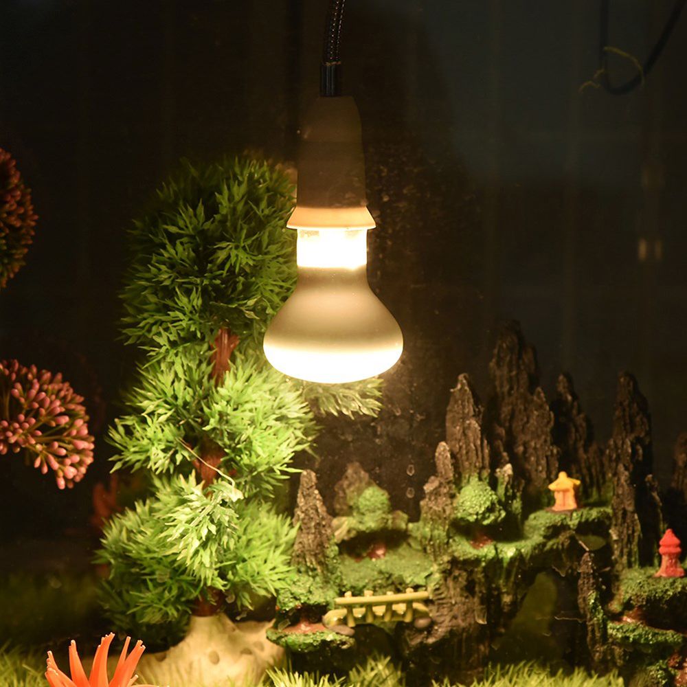 جهاز التحكم في درجة الحرارة لل - مراجعة Basking Bulb Halogen وسعره