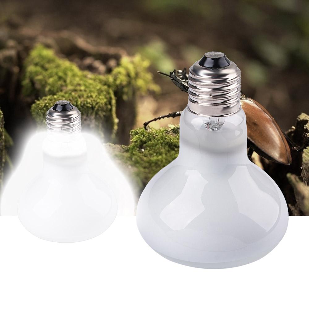مصباح حراري للسلاحف، إضاءة هال - مراجعة Basking Bulb Halogen وسعره