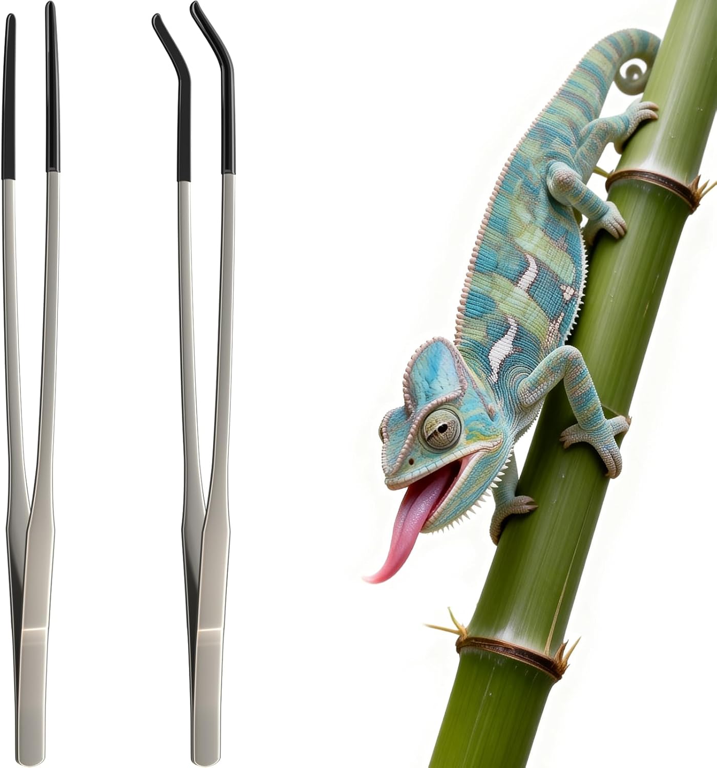قطعتان من ملاقط التغذية الطويل - مراجعة Feeding Tong Stainless وسعره