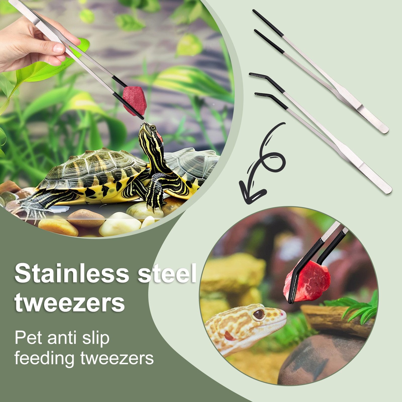 ملاقط طويلة لتغذية الزواحف من  - مراجعة Water Dish Reptile وسعره