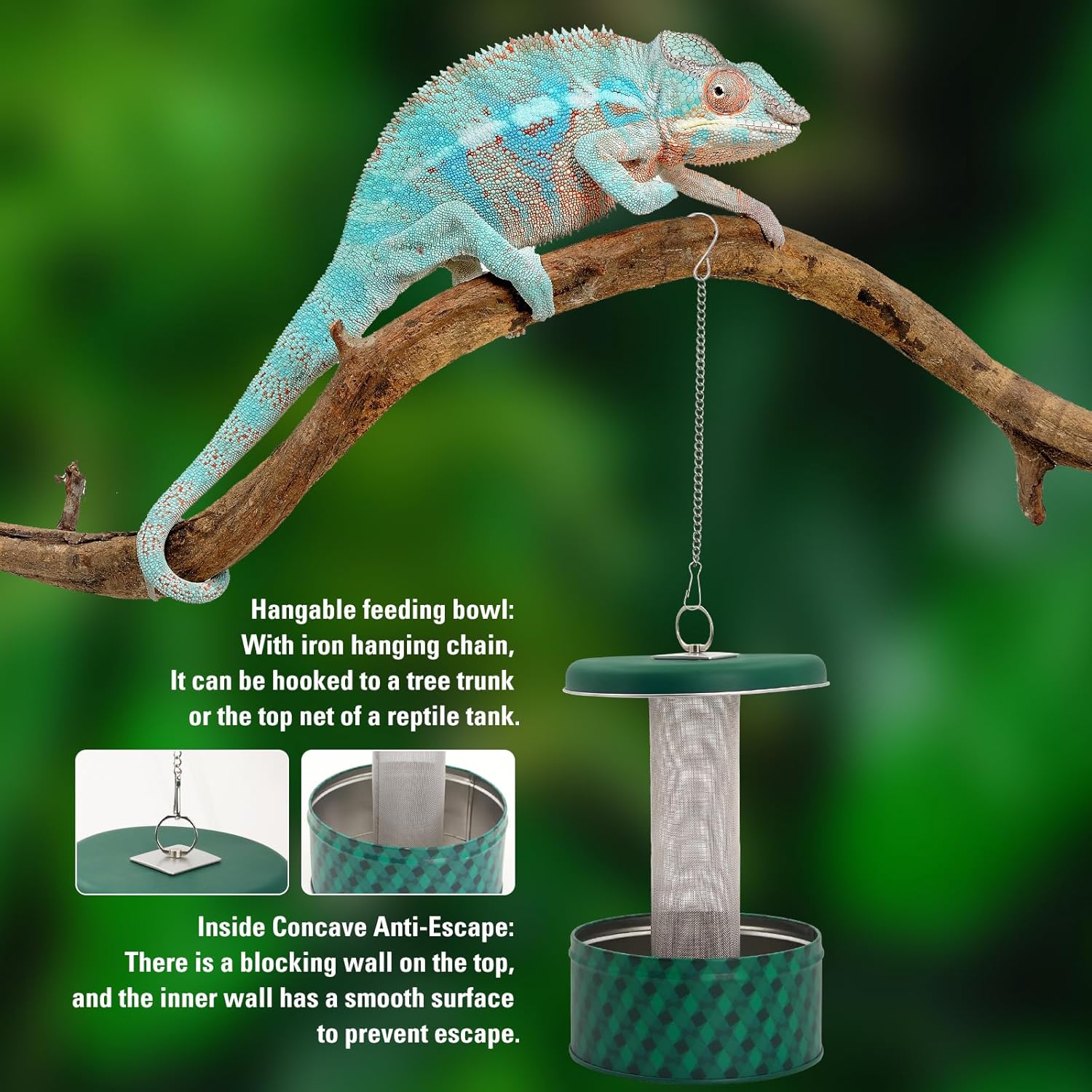 التنين الملتحي المغذية الحرباء - مراجعة Water Dish Reptile وسعره