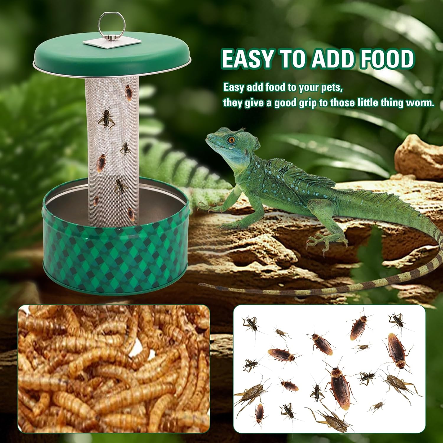 التنين الملتحي المغذية الحرباء - مراجعة Water Dish Reptile وسعره