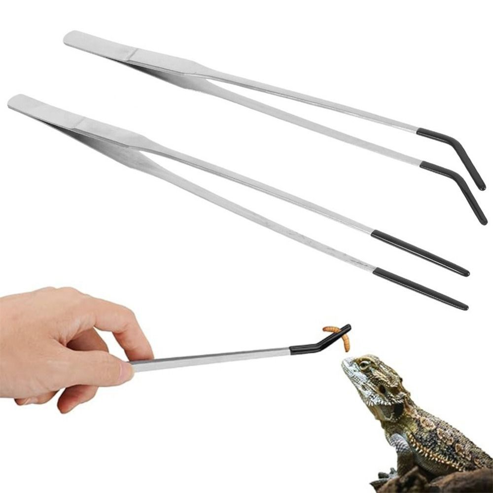ملقط تغذية للحوض المائي من الف - مراجعة Feeding Tong Stainless وسعره