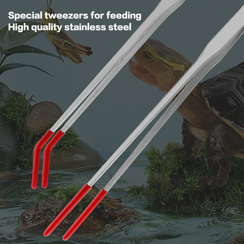 ملقط تغذية الزواحف من الفولاذ  - مراجعة Feeding Tong Stainless وسعره