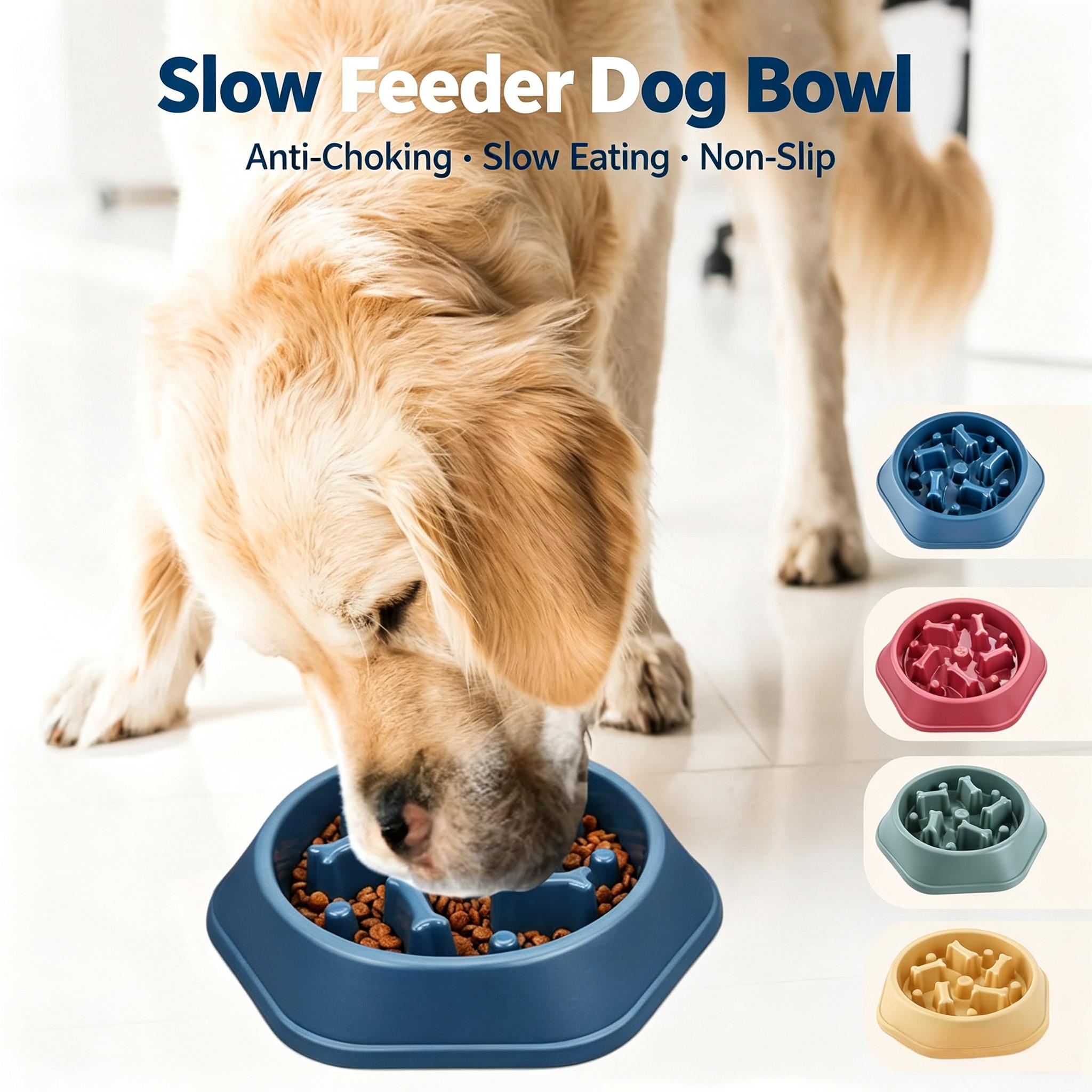 وعاء تغذية بطيئة للكلاب مضاد ل - مراجعة Royal Canin Food Medium وسعره