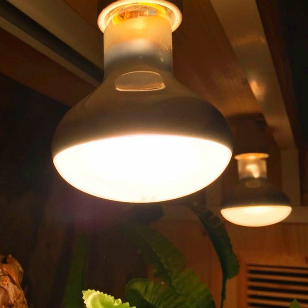 مصباح تدفئة للسلاحف، مصباح تدف - مراجعة Basking Bulb Halogen وسعره